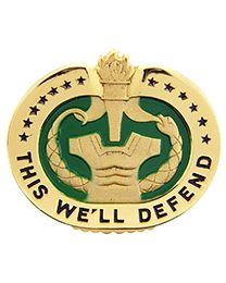 BDG-ARMY,DRILL INSTRUCTOR