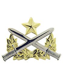 BDG-ARMY,RANGER QUALIFICATION