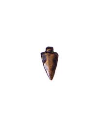 DEV-ARROWHEAD,BRONZE
