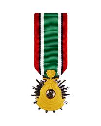 MEDAL-KUWAIT,LIBER.OF