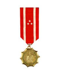 MEDAL-PHILIPPINE DEFENSE