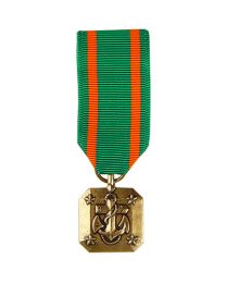 MEDAL-USN,ACHIEVEMENT