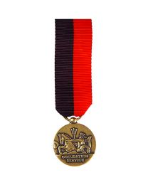 MEDAL-USN,OCCUP.SVC,WWII