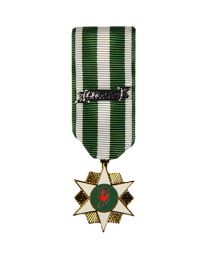 MEDAL-VIET,CAMPAIGN