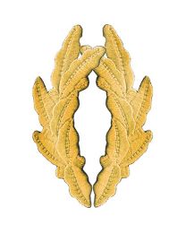 PATCH-SCRAM.EGG,GOLD