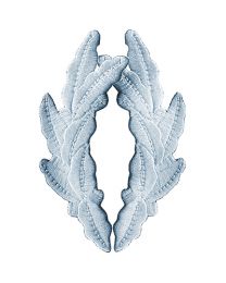 PATCH-SCRAM.EGG,SILVER