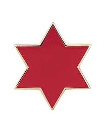 PIN-ARMY,006TH INF.DIV.