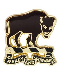 PIN-ARMY,010TH CAV.RGT.