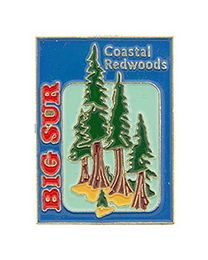 PIN-CA,BIG SUR,REDWOODS