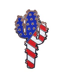 PIN-CACTUS USA