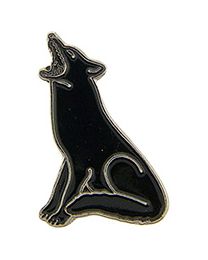 PIN-COYOTE
