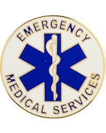 PIN-EMS LOGO        (LRG)