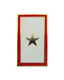 PIN-FAMILY MEMBER GOLD STAR