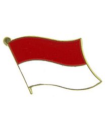 PIN-INDONESIA