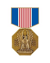 PIN-MEDAL,ARMY SOLDIERS