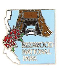 PIN-NAT.PARK,REDWOOD