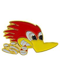PIN-BIRD,WOODPECKER