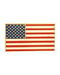 PIN-USA FLAG