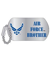 PIN-USAF EMBLEM,BROTHER