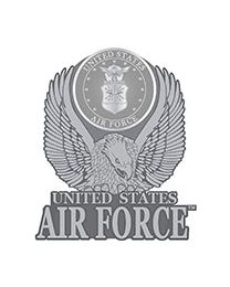PIN-USAF EMBLEM PWT Eagle