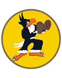 PIN-USAF,0067TH FIGHTER SQ