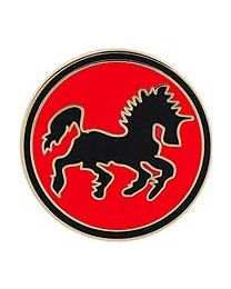 PIN-USN,BLACK PONIES