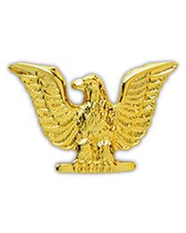 PIN-USN,ENLISTED,GOLD