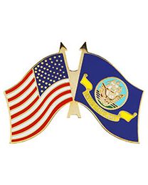 PIN-USN,FLAG,USA/USN