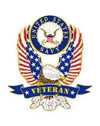 PIN-USN,VETERAN EAGLE