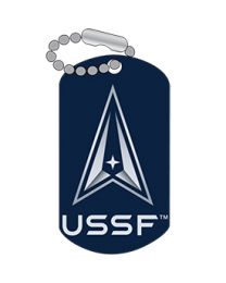 PIN-USSF SPACE FORCE DT