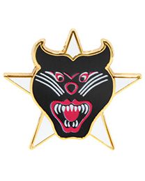 PIN-VIET,ARVN RANGER