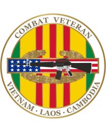 PIN-VIET,COMBAT VET,CIB