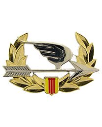 PIN-VIET,RANGER BERET BDQ