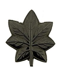 RANK-USMC,MAJ/LTC,SUBDUED