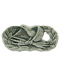 WING-USAF,COMMUNICAT.BASIC