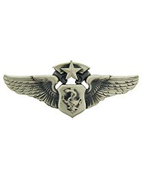 WING-USAF,FLT.NURSE,MAST.